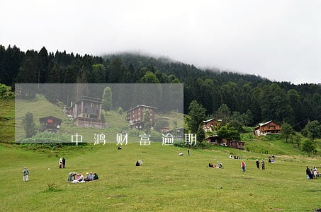 中鸿财富逾期 中鸿财富逾期