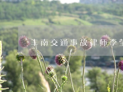 丰南交通事故律师李莹咨询服务 丰南交通事故律师李莹咨询服务