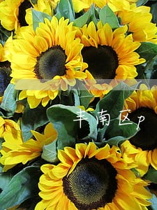丰南区p2p咨询律师 丰南区p2p咨询律师