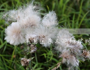 丰南区杀人犯辩护纠纷律师 丰南区杀人犯辩护纠纷律师