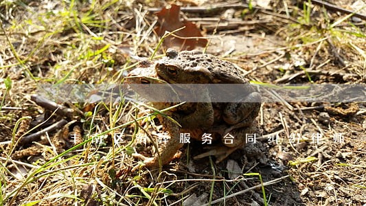 丰南区殡葬服务合同纠纷律师 丰南区殡葬服务合同纠纷律师