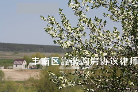 丰南区靠谱购房协议律师