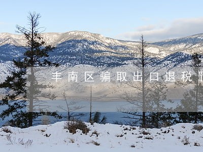 丰南区骗取出口退税罪律师在线 丰南区骗取出口退税罪律师在线