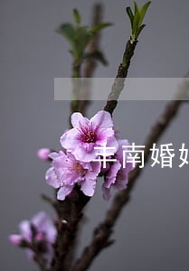丰南婚姻律师哪家专业