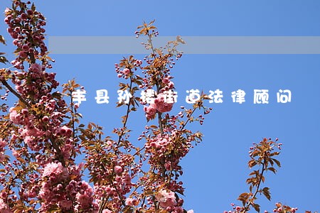丰县孙楼街道法律顾问 丰县孙楼街道法律顾问