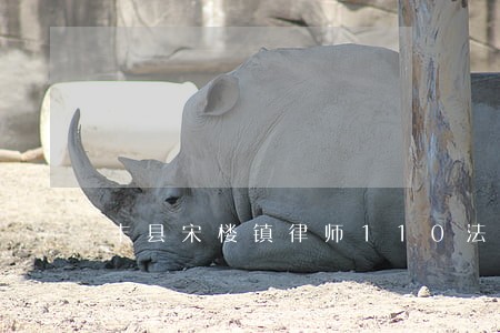 丰县宋楼镇律师110法律咨询网 丰县宋楼镇律师110法律咨询网