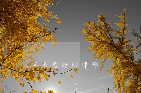 丰县最好的律师