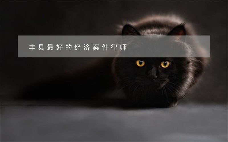 丰县最好的经济案件律师 丰县最好的经济案件律师