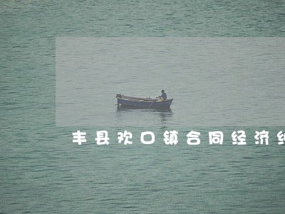 丰县欢口镇合同经济纠纷律师 丰县欢口镇合同经济纠纷律师