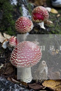 丰县法院孙武正庭长