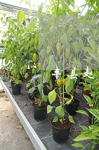 丰县赵庄镇律师推荐 丰县赵庄镇律师推荐