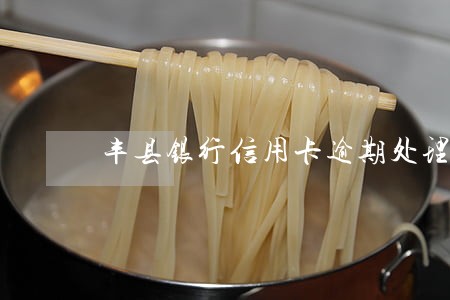 丰县银行信用卡逾期处理 丰县银行信用卡逾期处理
