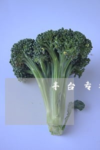 丰台专利侵权诉讼律师费用 丰台专利侵权诉讼律师费用