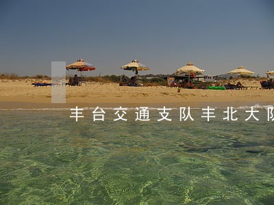 丰台交通支队丰北大队诉讼 丰台交通支队丰北大队诉讼
