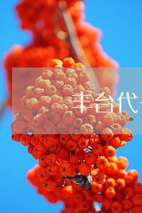 丰台代书遗嘱律师怎样收费
