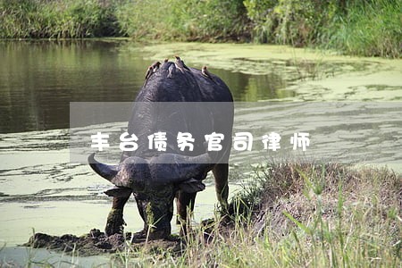 丰台债务官司律师 丰台债务官司律师