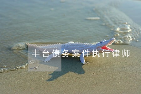 丰台债务案件执行律师 丰台债务案件执行律师