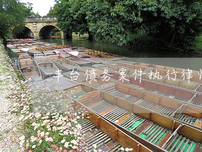 丰台债务案件执行律师团队 丰台债务案件执行律师团队