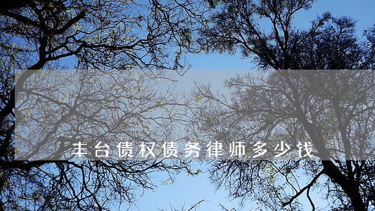 丰台债权债务律师多少钱 丰台债权债务律师多少钱
