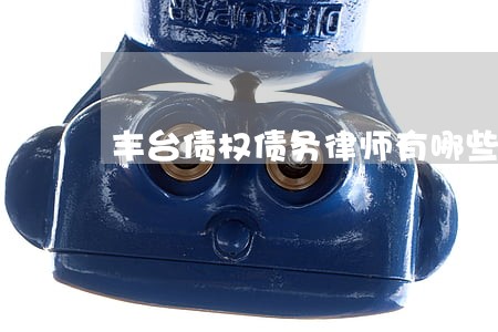 丰台债权债务律师有哪些 丰台债权债务律师有哪些