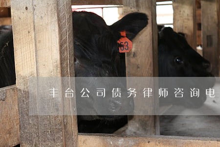 丰台公司债务律师咨询电话 丰台公司债务律师咨询电话