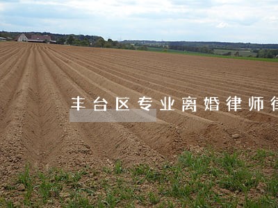 丰台区专业离婚律师律所 丰台区专业离婚律师律所