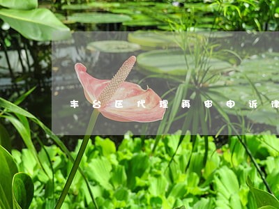 丰台区代理再审申诉律师 丰台区代理再审申诉律师