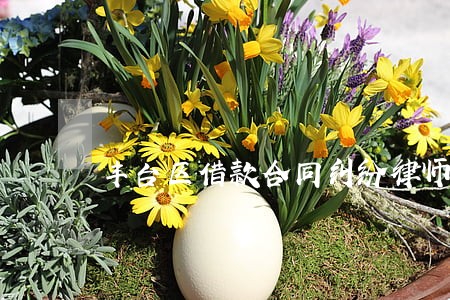 丰台区借款合同纠纷律师 丰台区借款合同纠纷律师