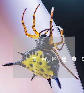 丰台区免费法律咨询服务 丰台区免费法律咨询服务