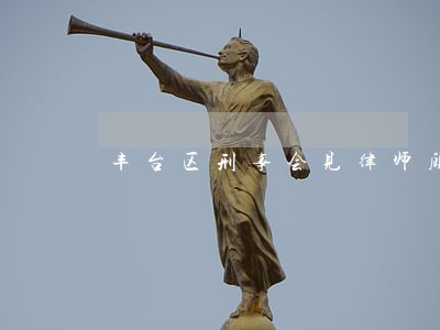 丰台区刑事会见律师顾问
