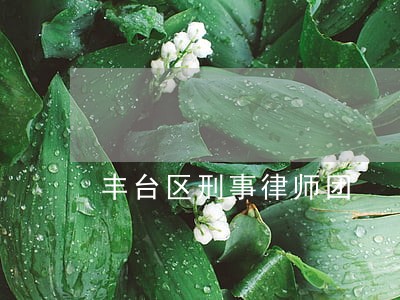 丰台区刑事律师团