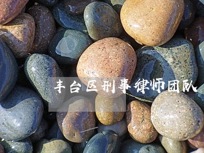 丰台区刑事律师团队 丰台区刑事律师团队