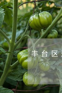 丰台区刑事律师多少钱