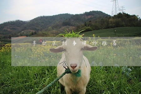 丰台区刑事律师推荐 丰台区刑事律师推荐