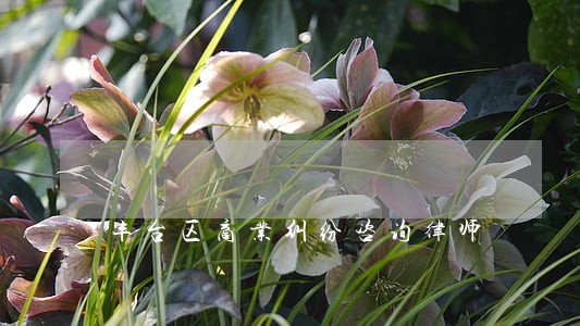 丰台区商业纠纷咨询律师