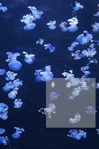 丰台区婚姻财产律师 丰台区婚姻财产律师