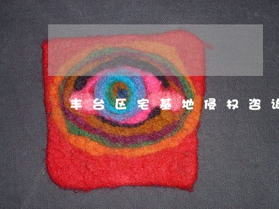 丰台区宅基地侵权咨询律师 丰台区宅基地侵权咨询律师
