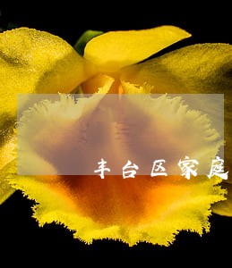 丰台区家庭债务纠纷律师哪个好 丰台区家庭债务纠纷律师哪个好