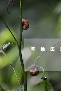 丰台区建设工程律师法律服务 丰台区建设工程律师法律服务