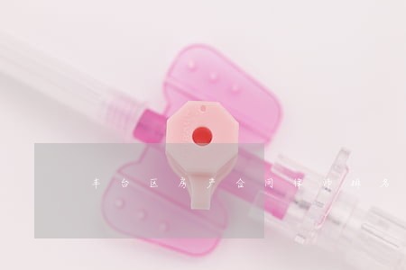 丰台区房产合同律师排名 丰台区房产合同律师排名