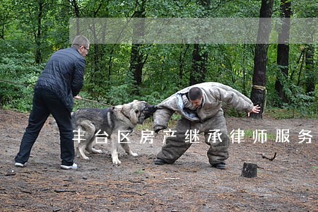 丰台区房产继承律师服务 丰台区房产继承律师服务