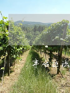 丰台区法律援助中心具体位置