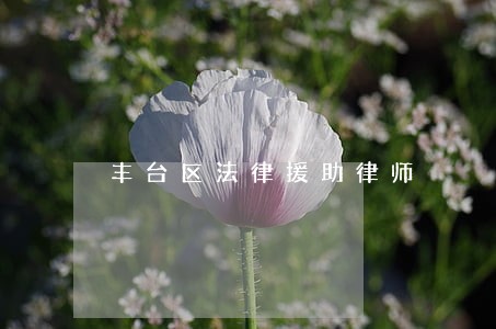 丰台区法律援助律师
