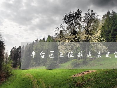 丰台区王佐镇违法建筑举报