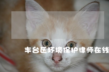 丰台区环境保护律师在线咨询 丰台区环境保护律师在线咨询
