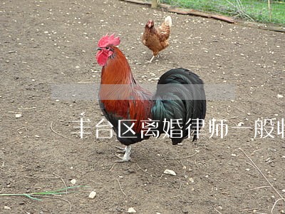丰台区离婚律师一般收费标准 丰台区离婚律师一般收费标准