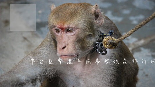 丰台区窄道车祸事故该怎样诉讼 丰台区窄道车祸事故该怎样诉讼
