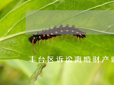 丰台区诉讼离婚财产请律师 丰台区诉讼离婚财产请律师
