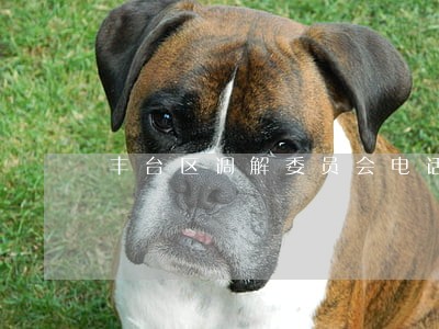 丰台区调解委员会电话 丰台区调解委员会电话
