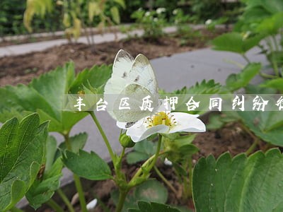 丰台区质押合同纠纷律师价格 丰台区质押合同纠纷律师价格